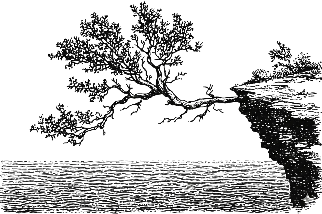 Headbranch banner