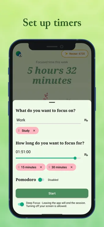 Focus Bee: setting up a timer