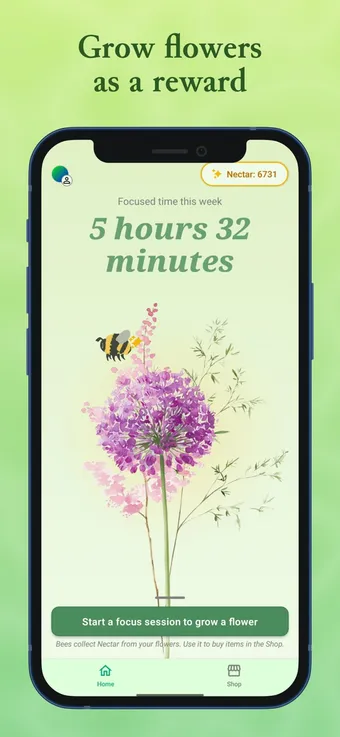 Focus Bee: growing a flower